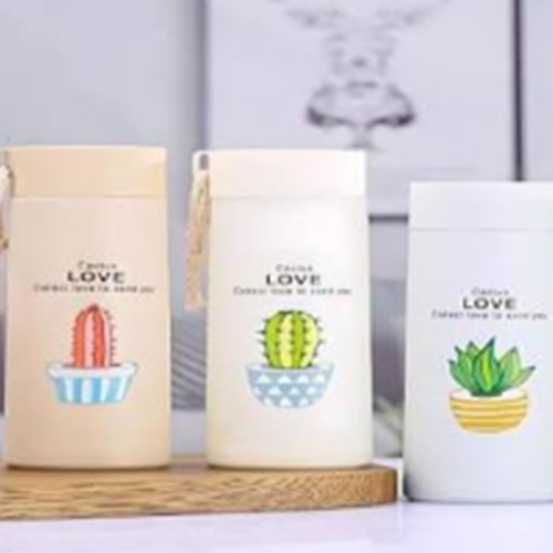 CACTUS LOVE 400ML